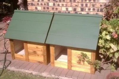 Medium Dog Kennel And Dog House Gallery